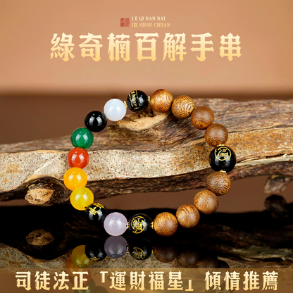 非金屬木質手環 【司徒法正】百解智慧手串祈福百搭